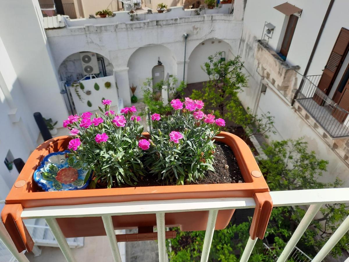B&B Ninedda Monopoli Εξωτερικό φωτογραφία